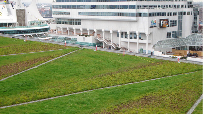 green roof at canada place