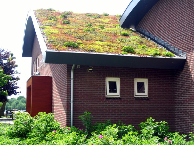 Green Roof Building