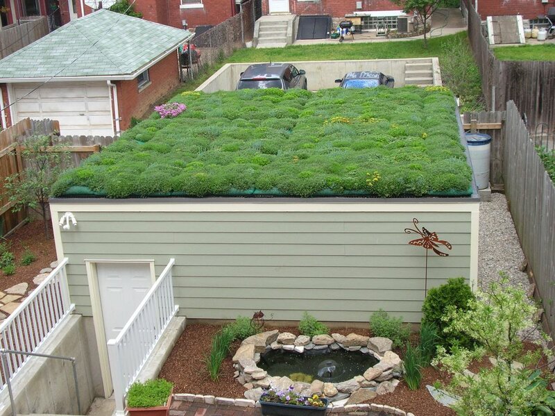 green roof garden and pond