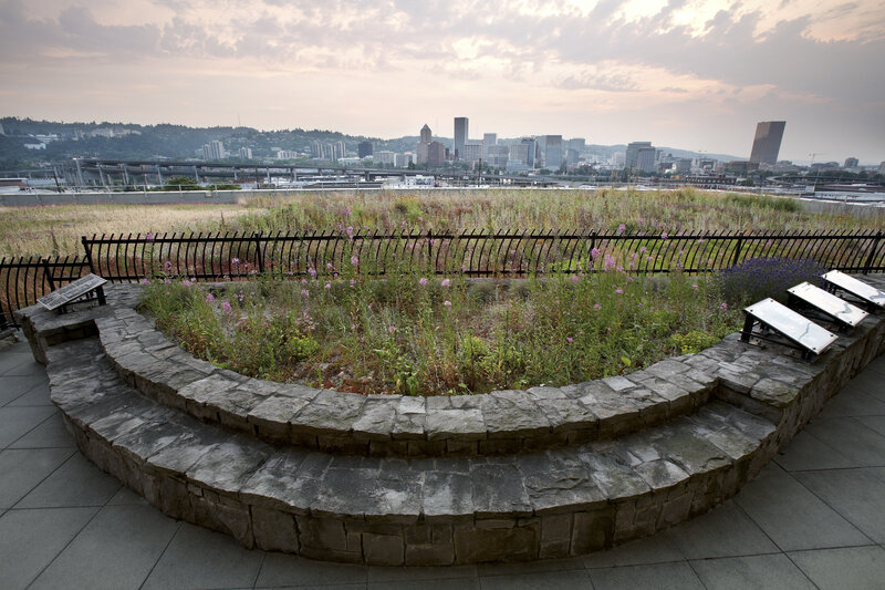 Green Roof Garden — Gray