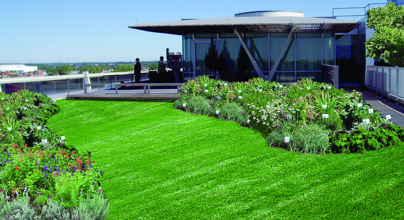 Green roof garden with modern pavilion
