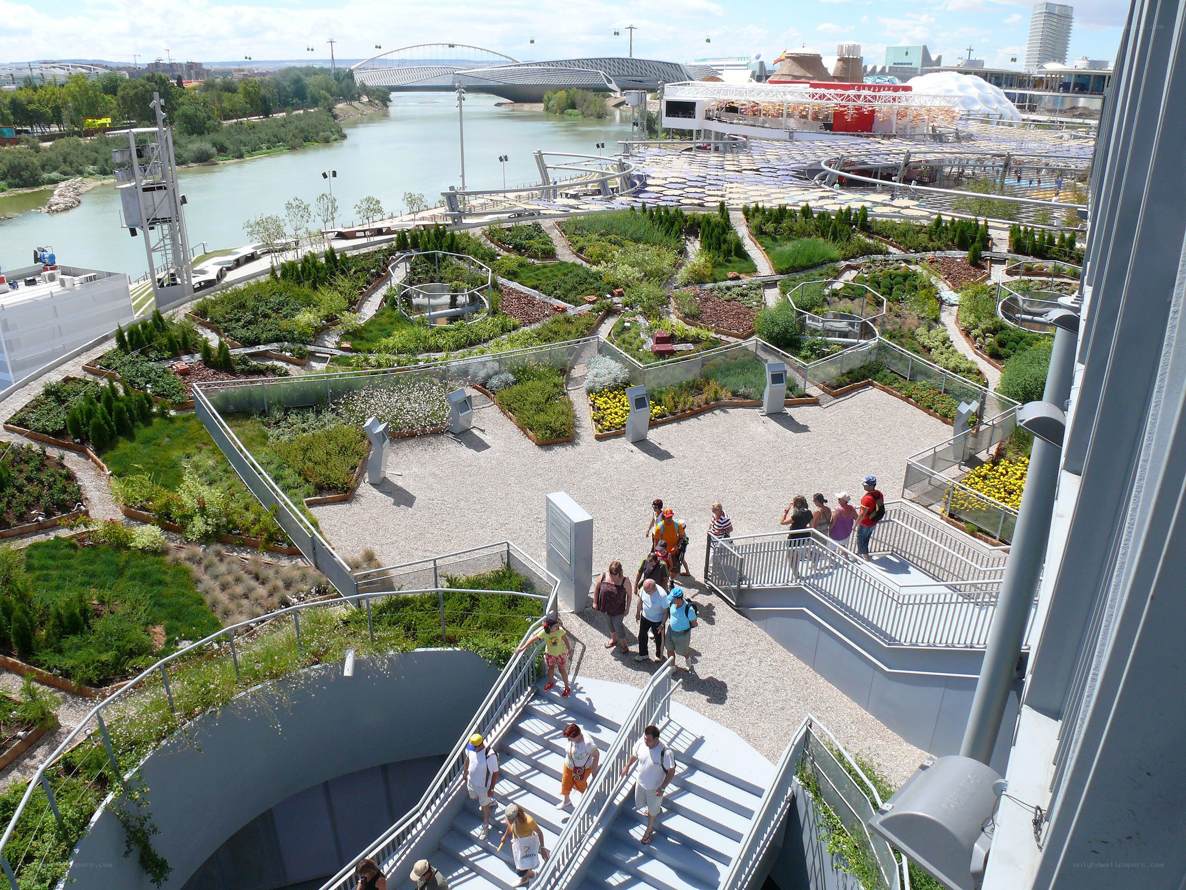 Green roof garden with river view