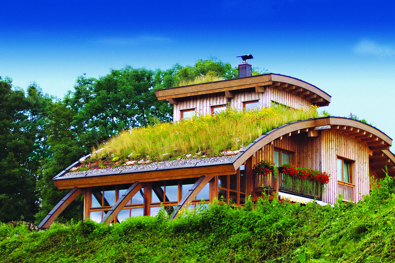 Green roof house on a hill