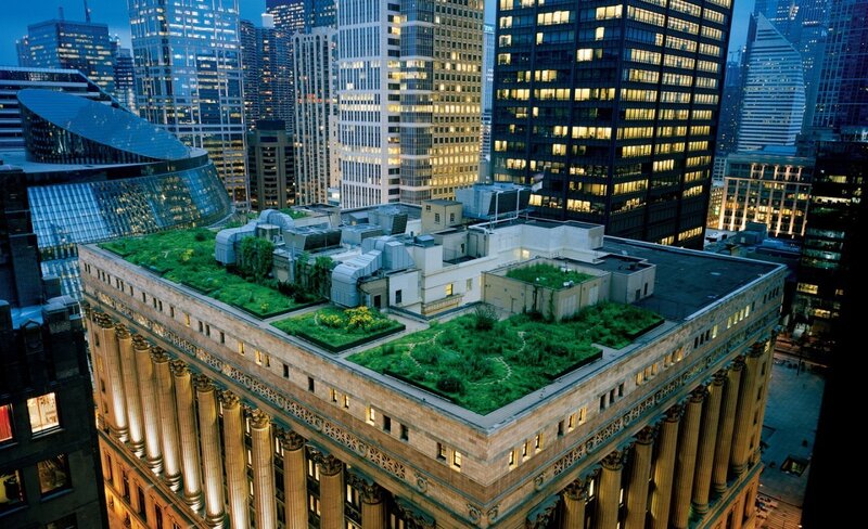 Green Roof on Building
