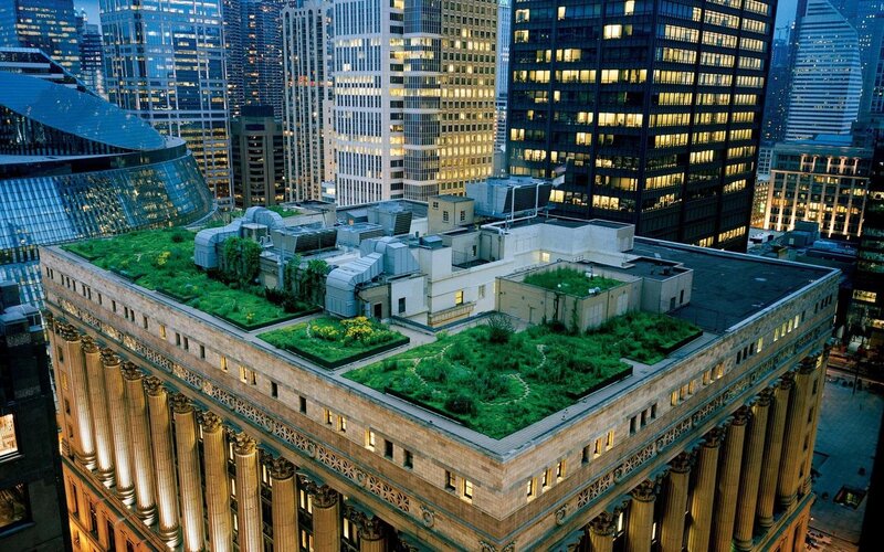 Green Roof on Building — Urban, Night, Photograph