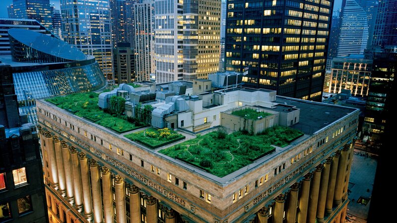 Green Roof on Building — Urban, Night