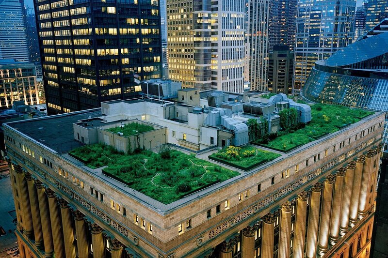 Green Roof on Building — Urban