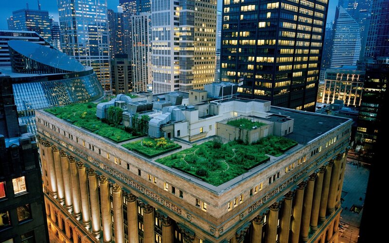 Green roof on city building