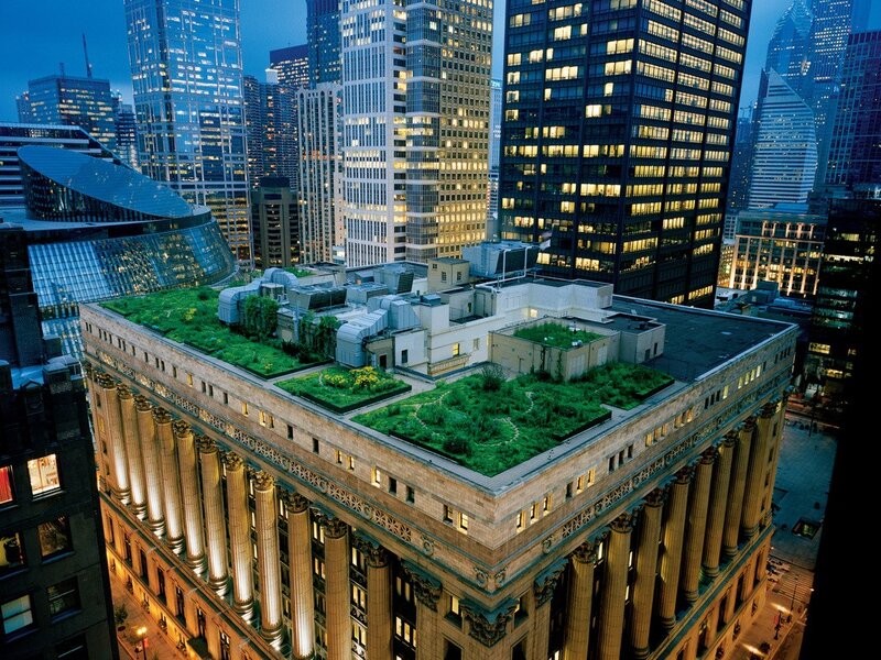 Green roof on city building