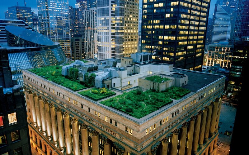 Green roof on city building