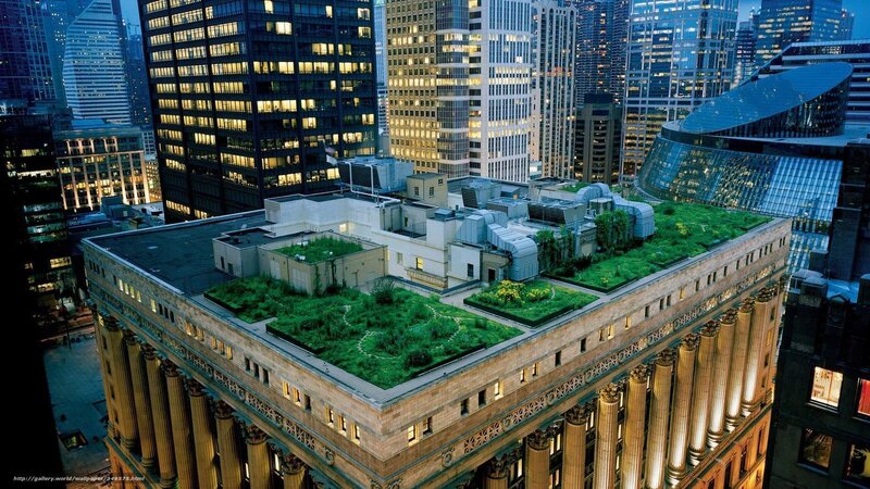 Green roof on city building