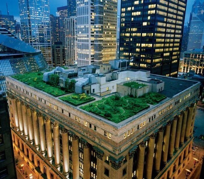 Green roof on historic building