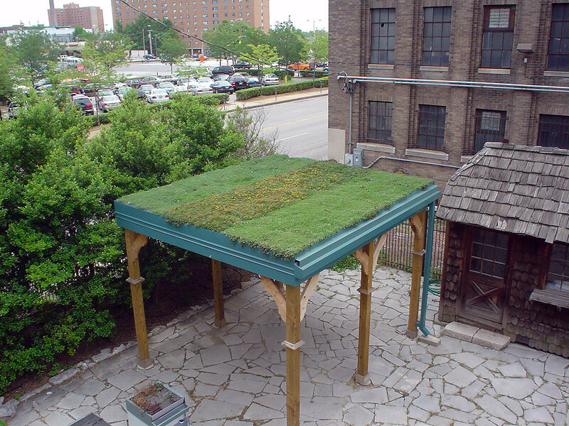 green roof pavilion in courtyard