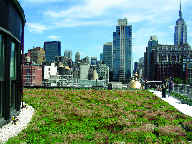 Green roof with city skyline