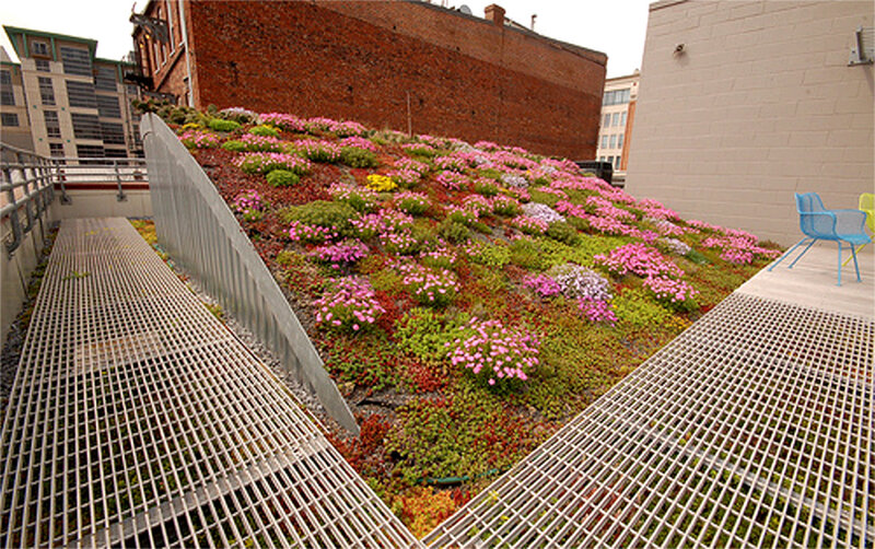 green roof with flowers