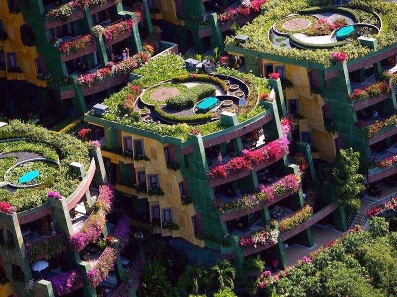 Green-roofed Buildings