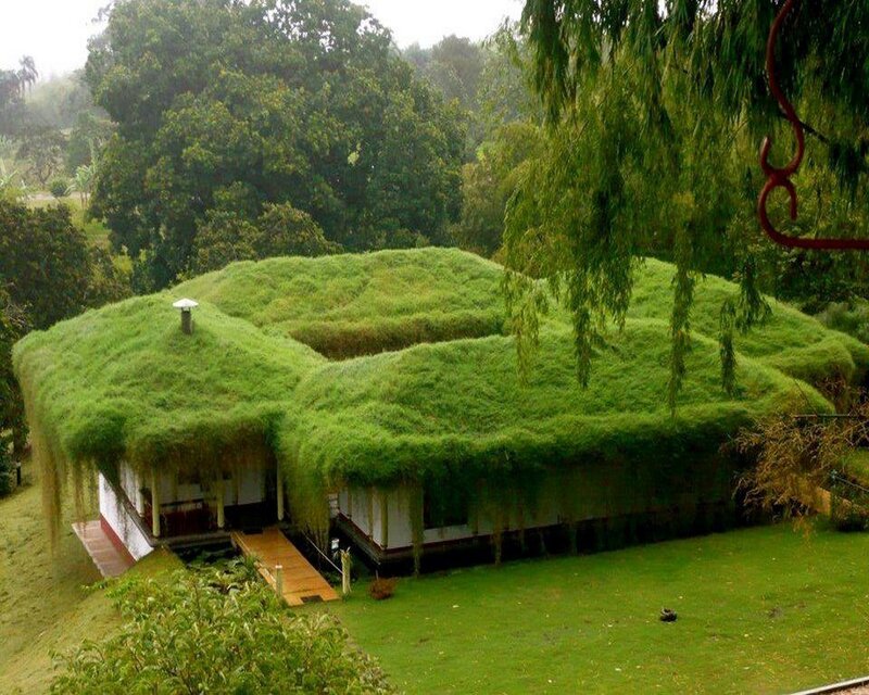 Green-roofed House — Green