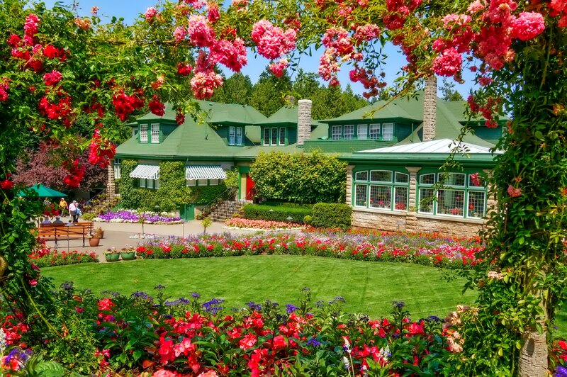 Green-roofed House in Garden — Green