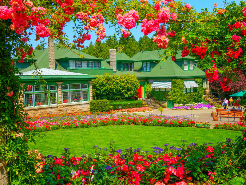 Green-roofed House in Garden