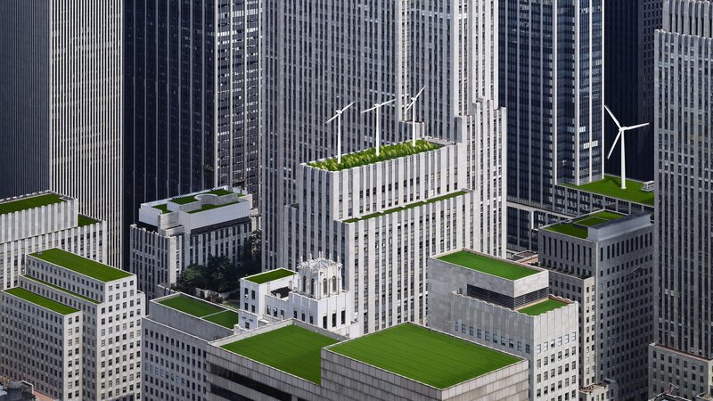 Green rooftops in a city