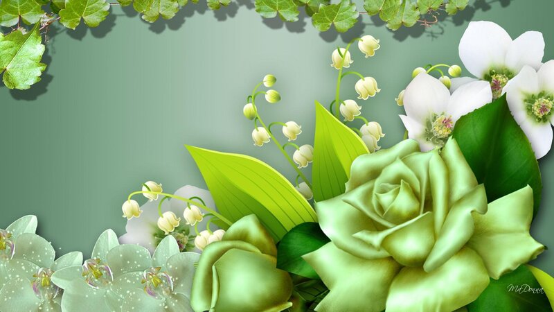 Green Rose and Flowers
