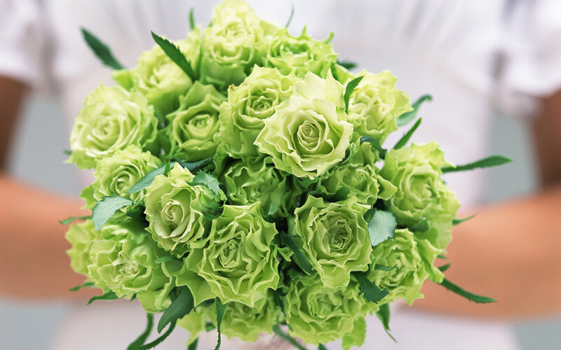 Green Rose Bouquet — Calm