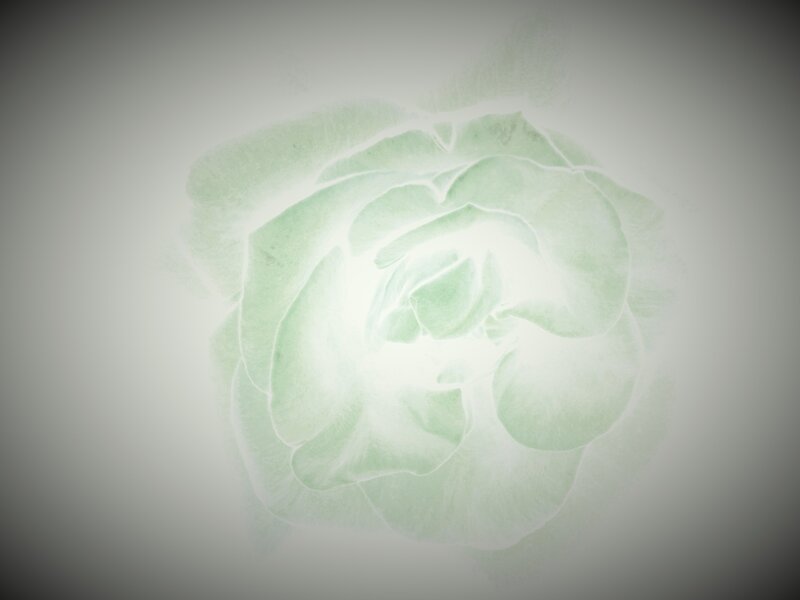 Green Rose Flower — Serene, Digital Art