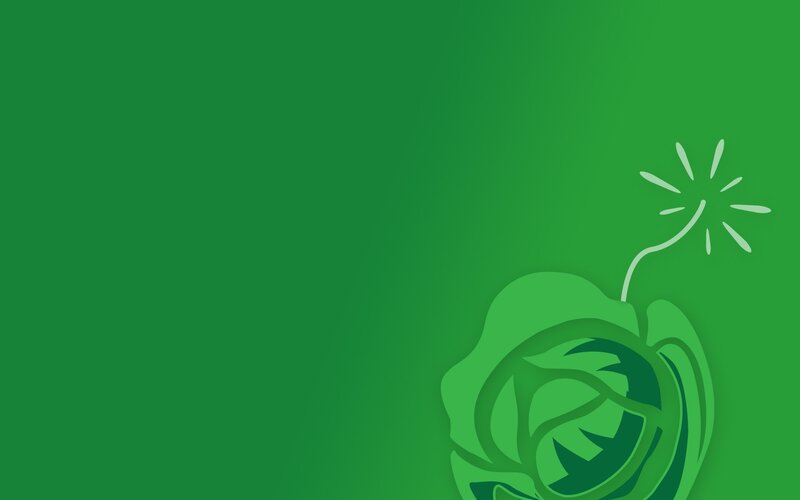 green rose with spark