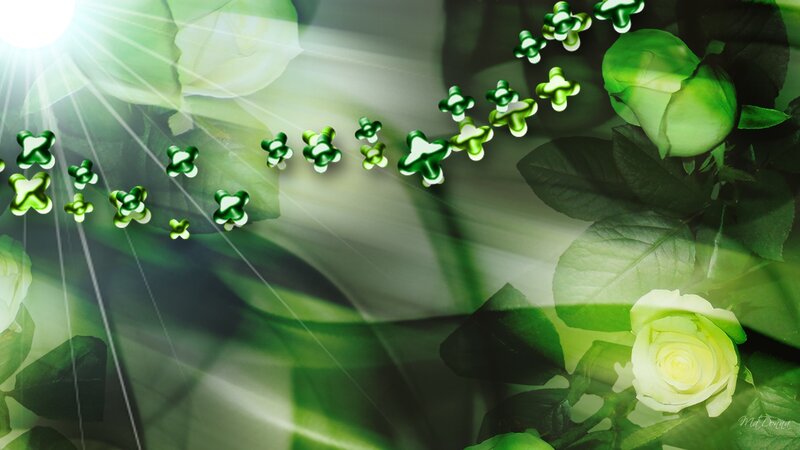 Green Roses and Clovers