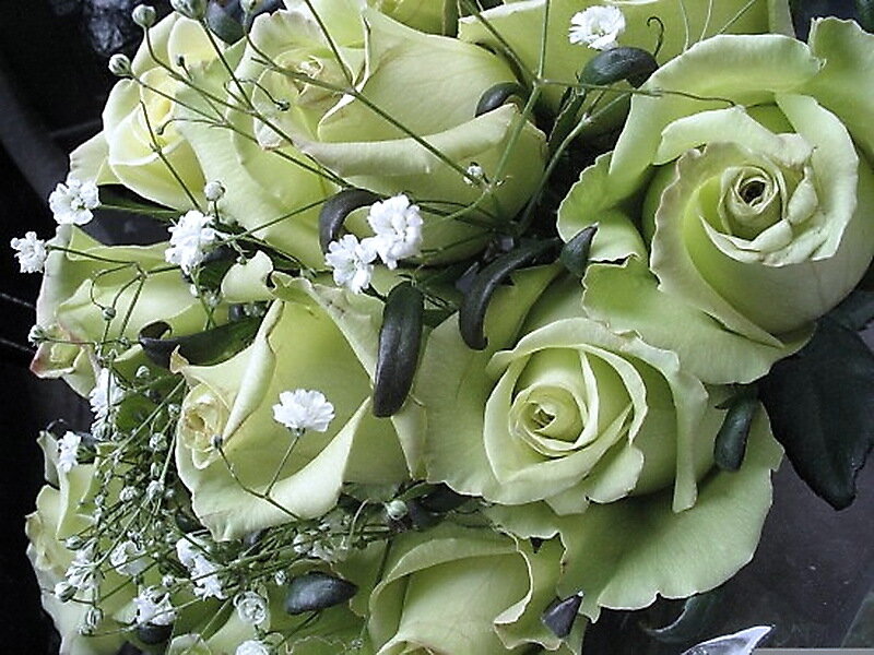 Green Roses Bouquet — Calm