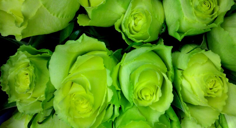 Green Roses in a Bouquet