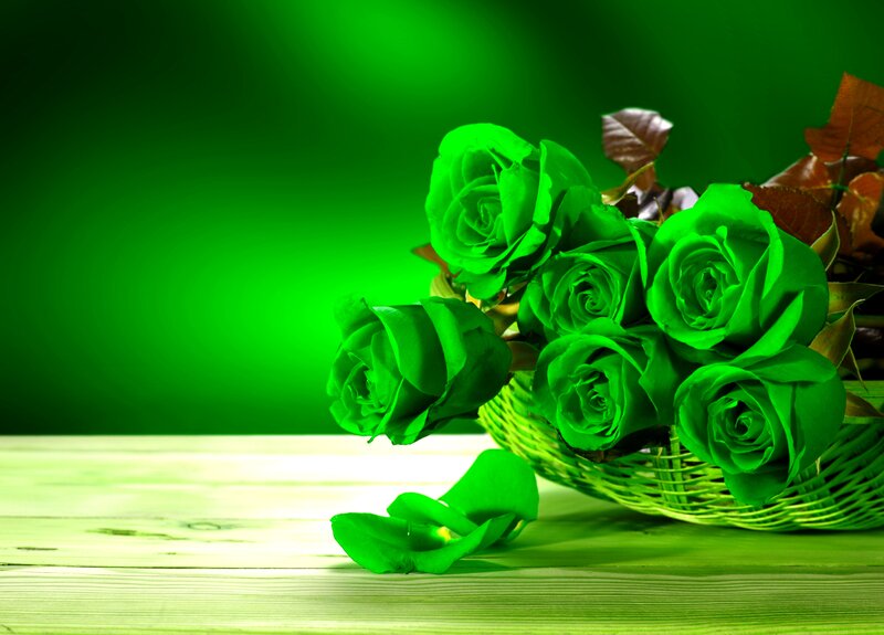 Green Roses in Basket
