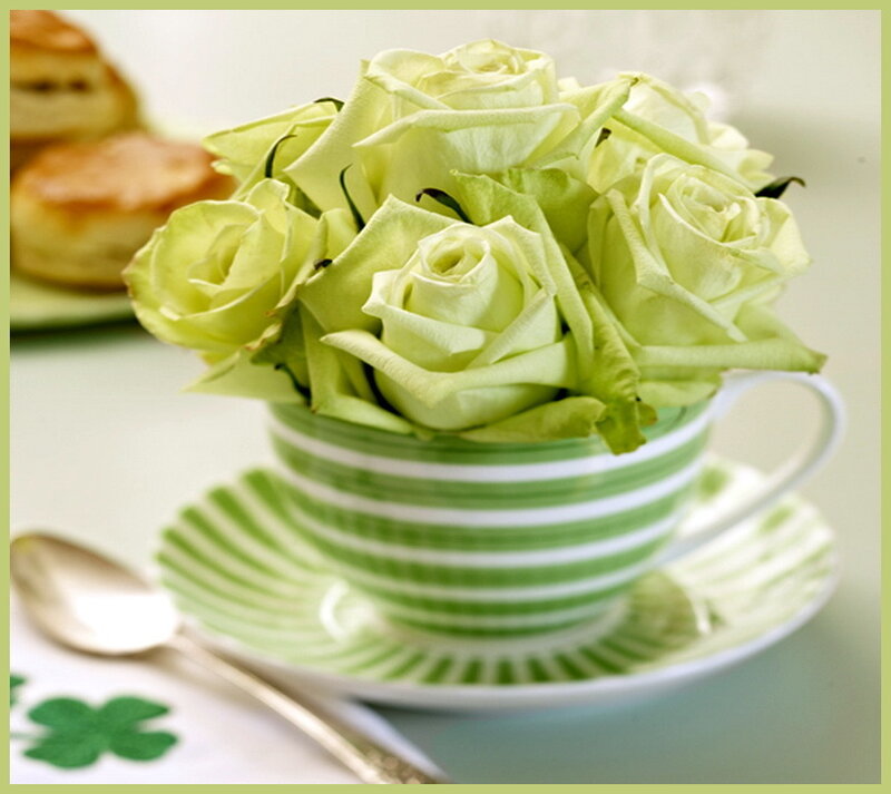 Green Roses in Teacup