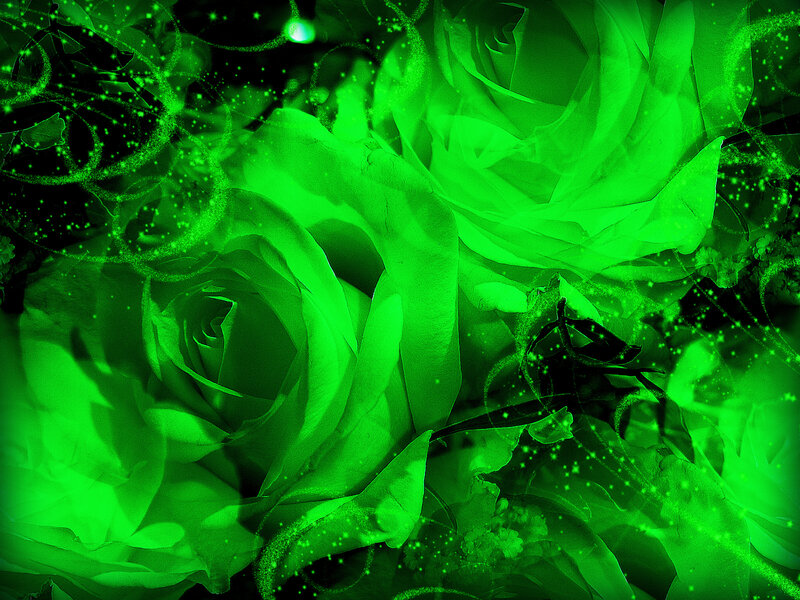 Green Roses with Sparkles