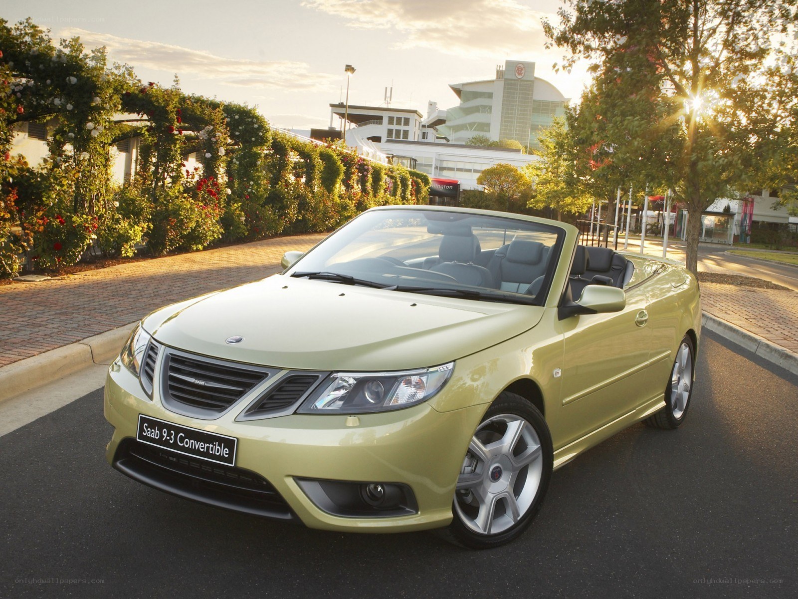 Green Saab 9-3 Convertible