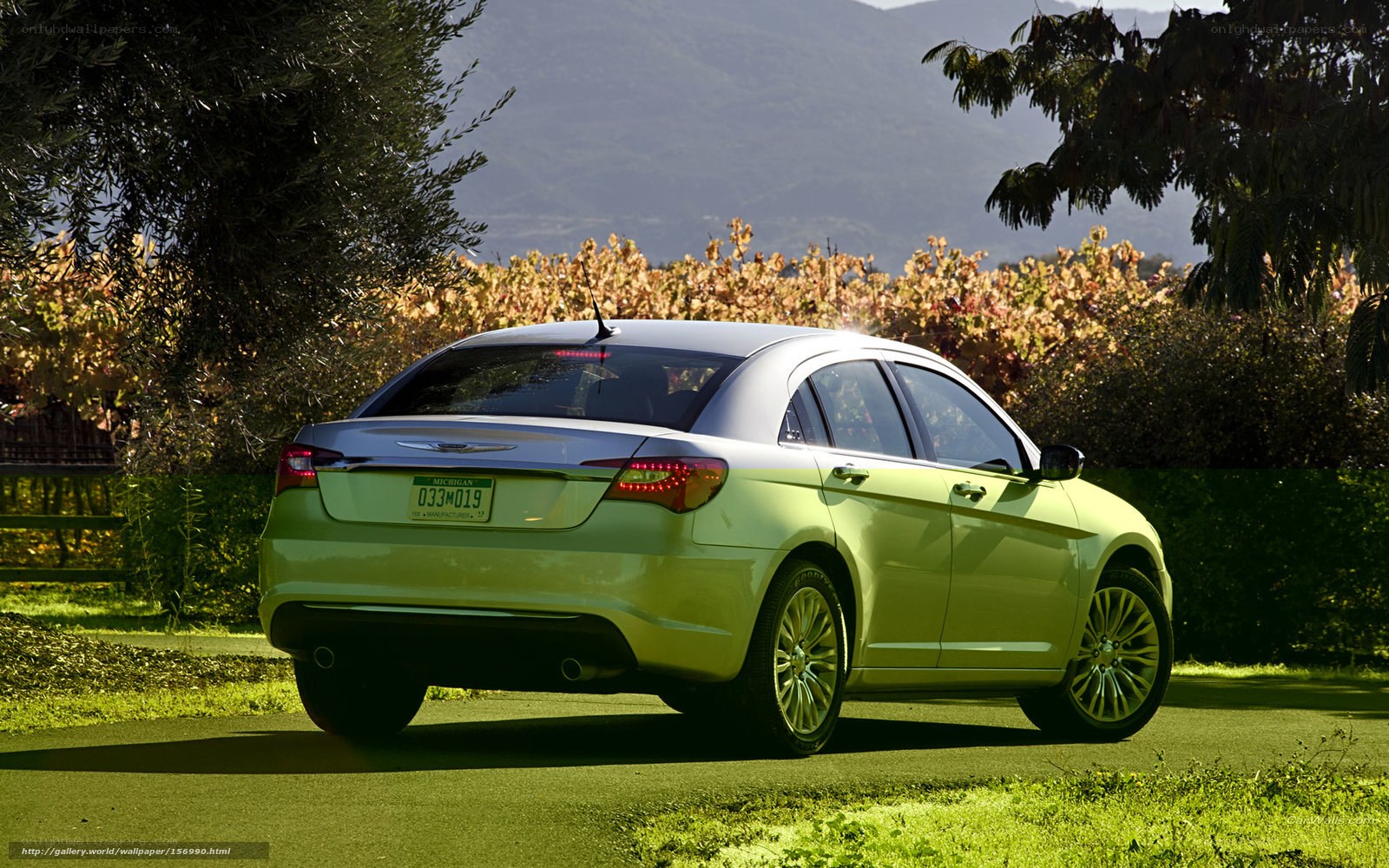 Green sedan in vineyard