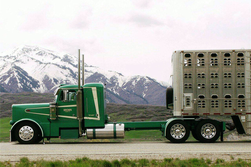 Green Semi-truck — Serene, Spring