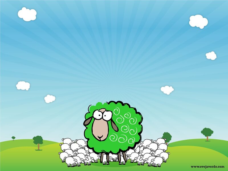 green sheep in a field