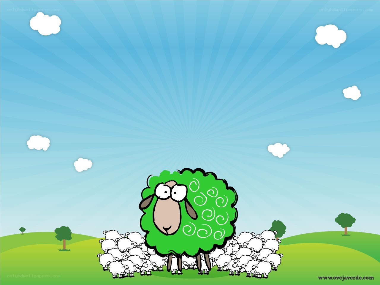 green sheep in a field