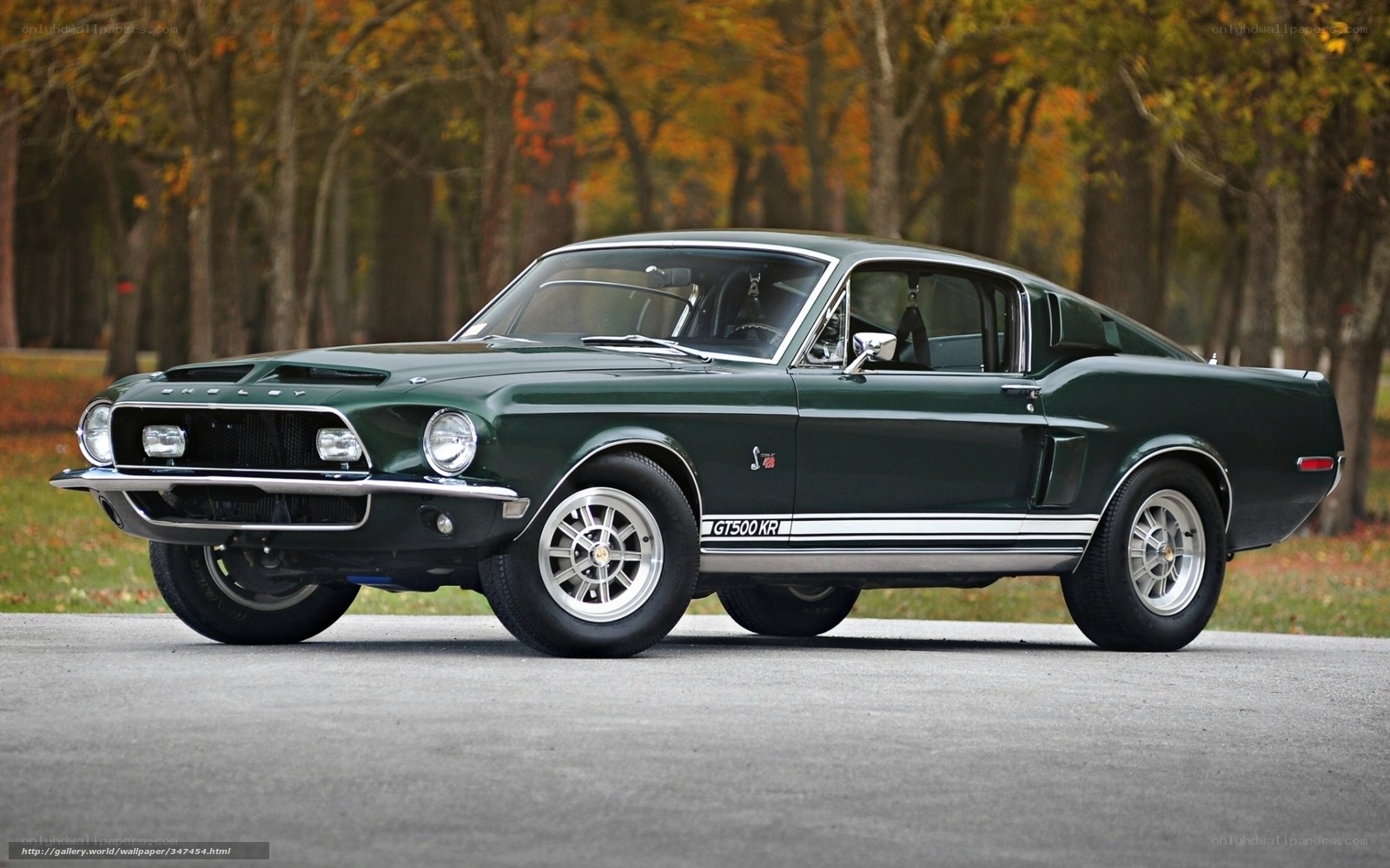 Green Shelby GT500KR muscle car