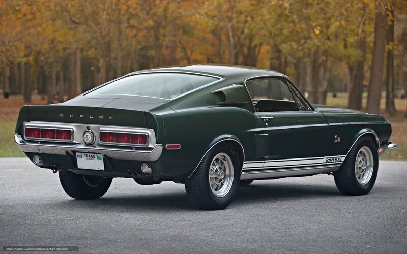 Green Shelby GT500KR
