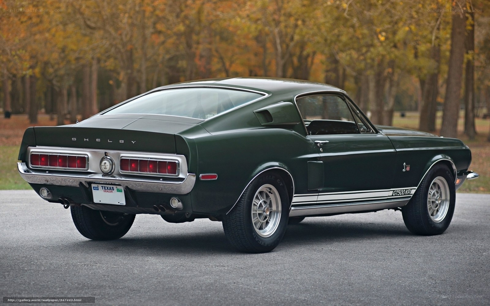 Green Shelby GT500KR