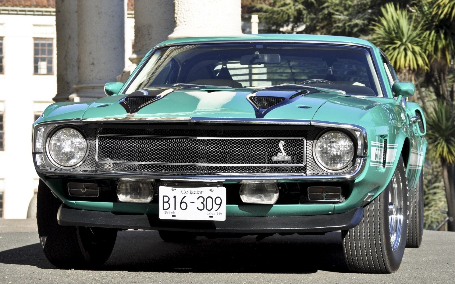 Green Shelby Mustang front view