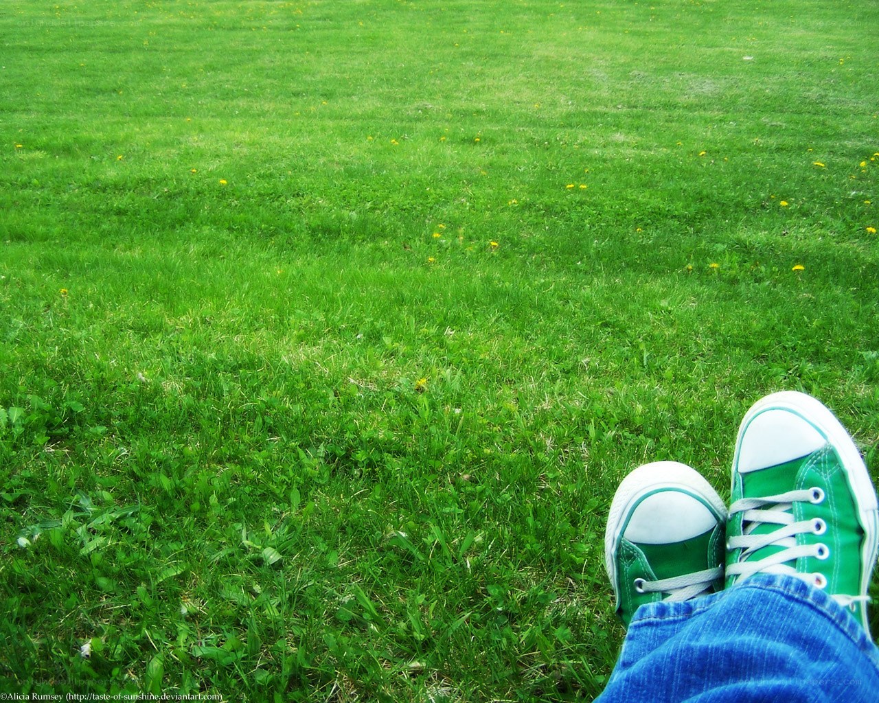 green shoes on grass