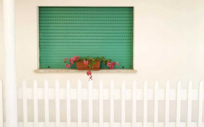 green shutter with flowers