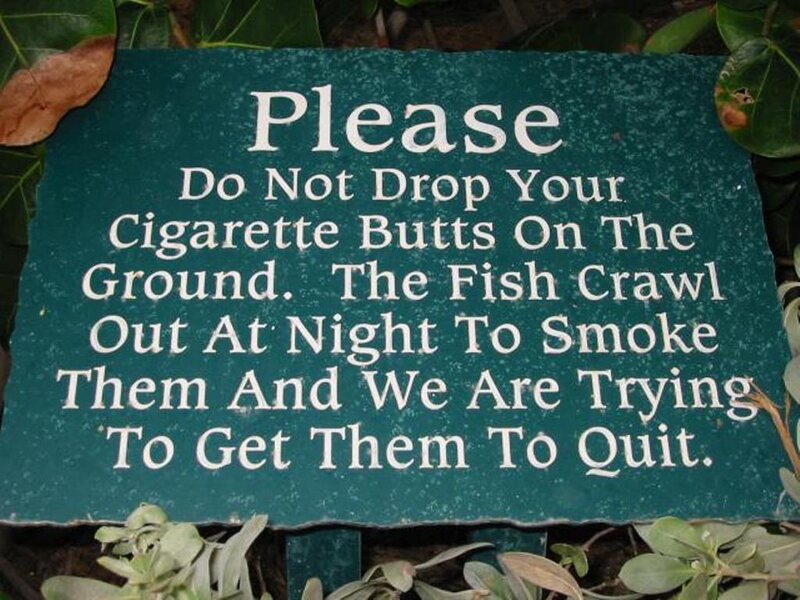 Green Sign with White Text