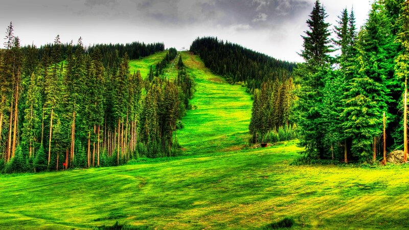 Green Ski Slope
