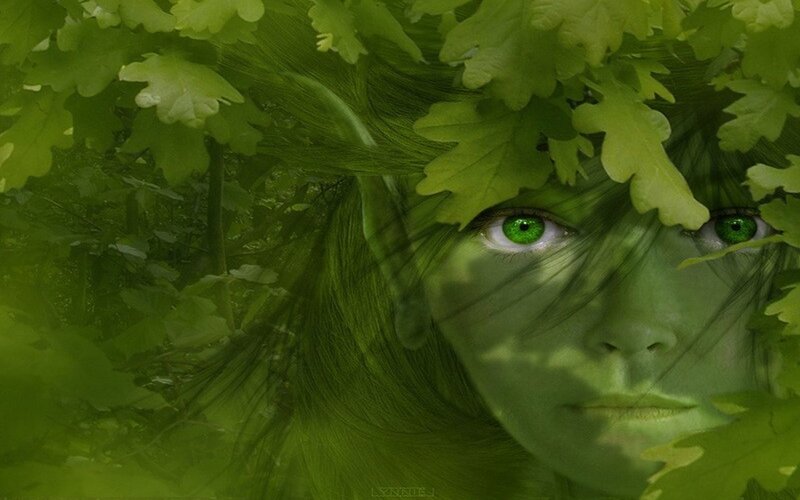 green-skinned elf in forest