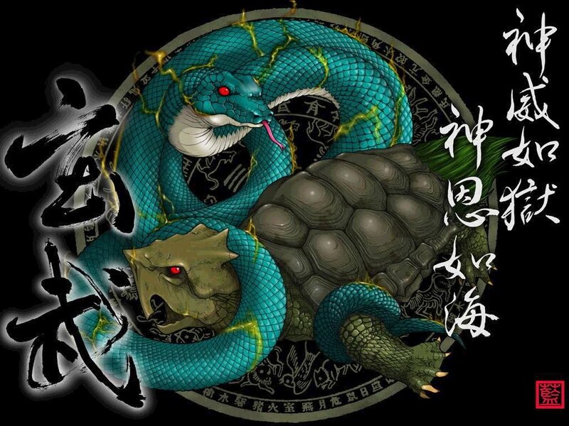 Green Snake and Turtle