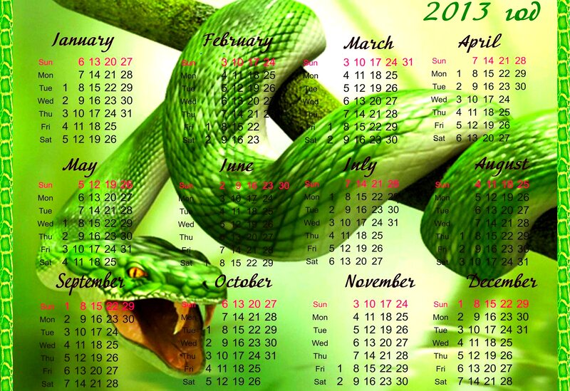 Green Snake Calendar